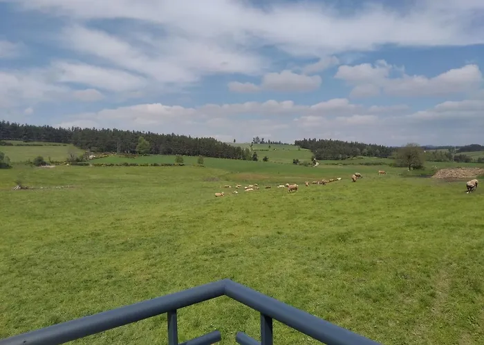 De Fontanes Aubrac Margeride Loups Du Gevaudan Lozere Saint-Sauveur-de-Peyre